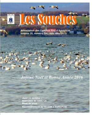 Revue Les Souches, Volume 20, numéro 3-4, Novembre 2015